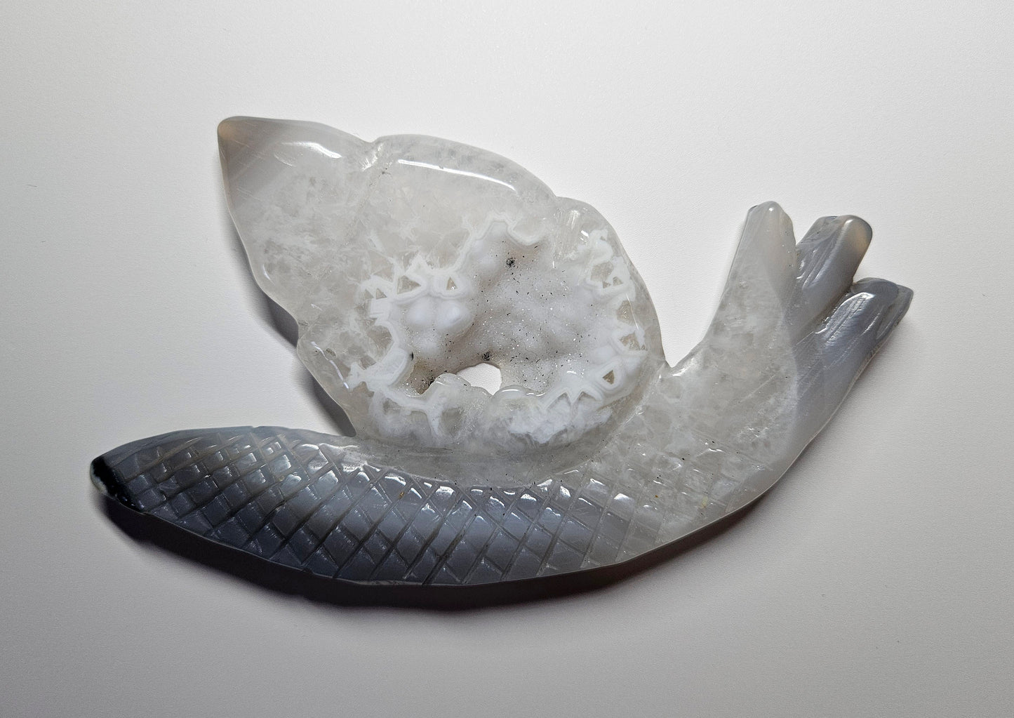 Druzy agate snail carving