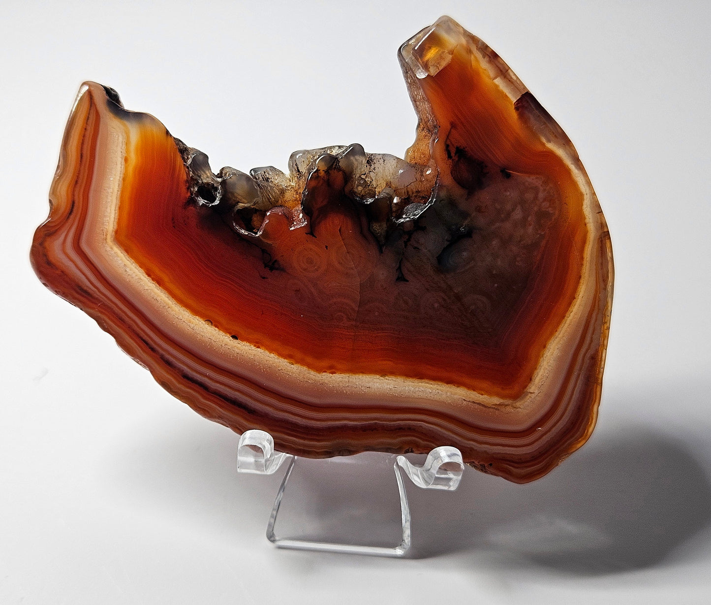 Red agate slice