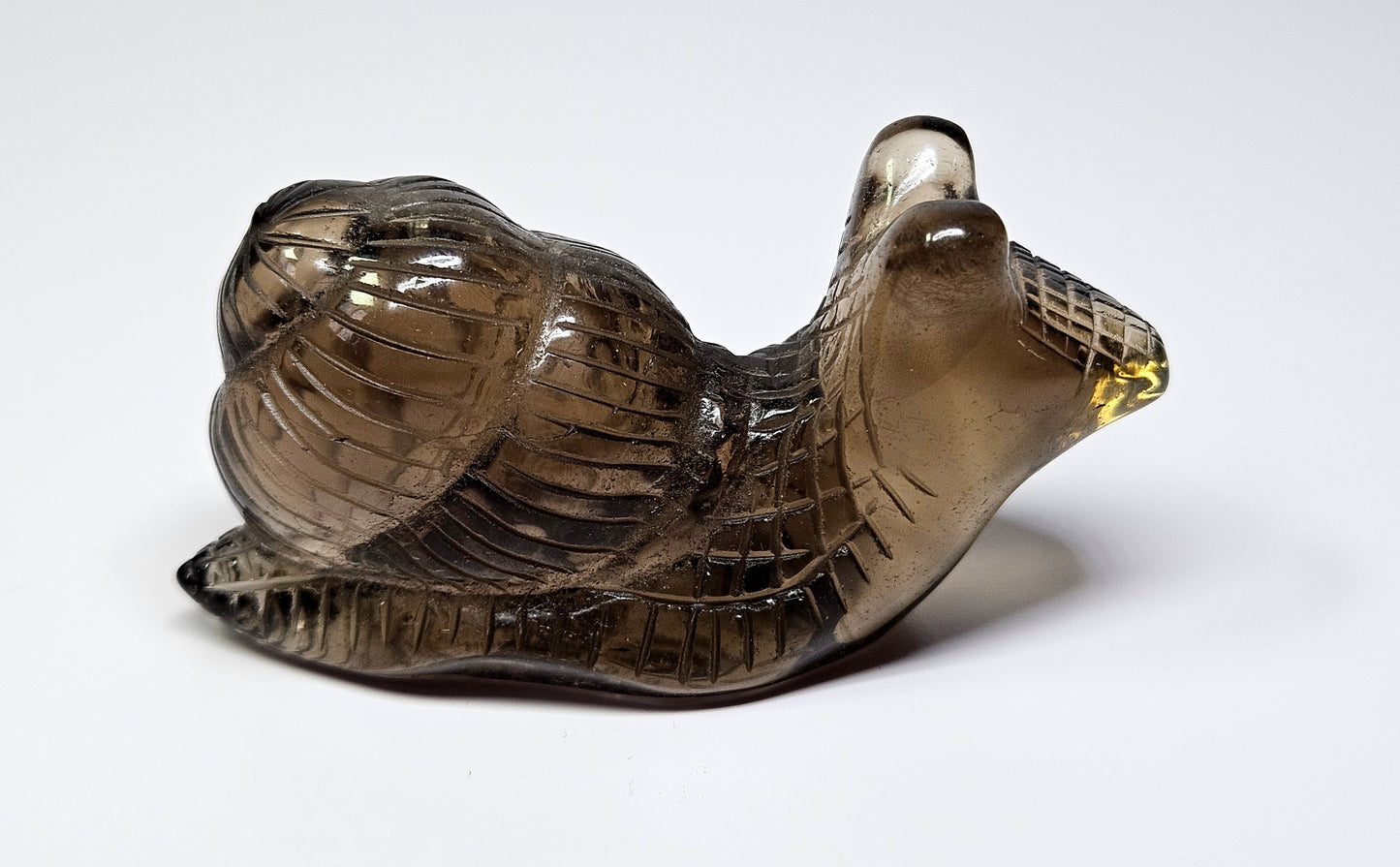 Smoky quartz snail