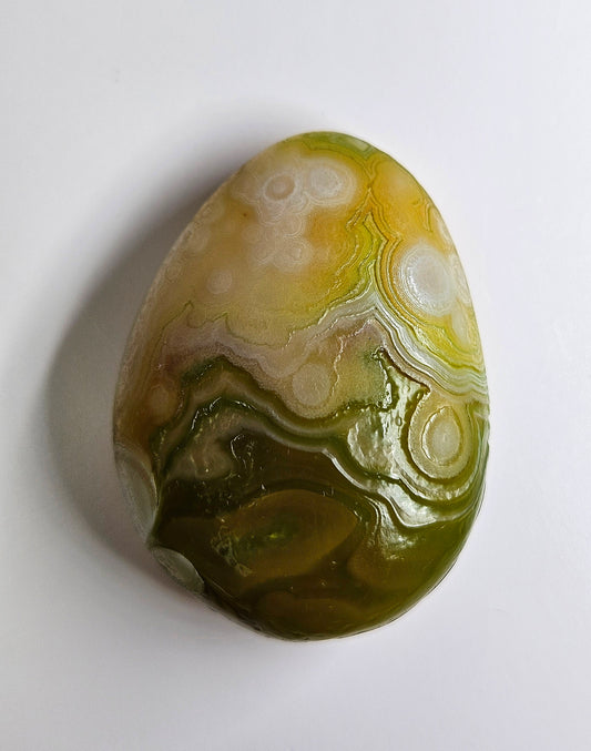Gobi agate palm stone