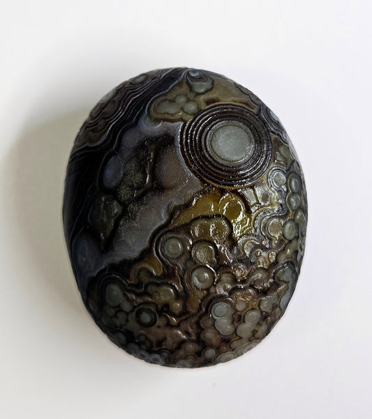 Gobi agate palm stone