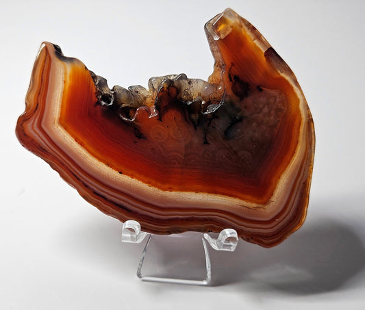 Red agate slice